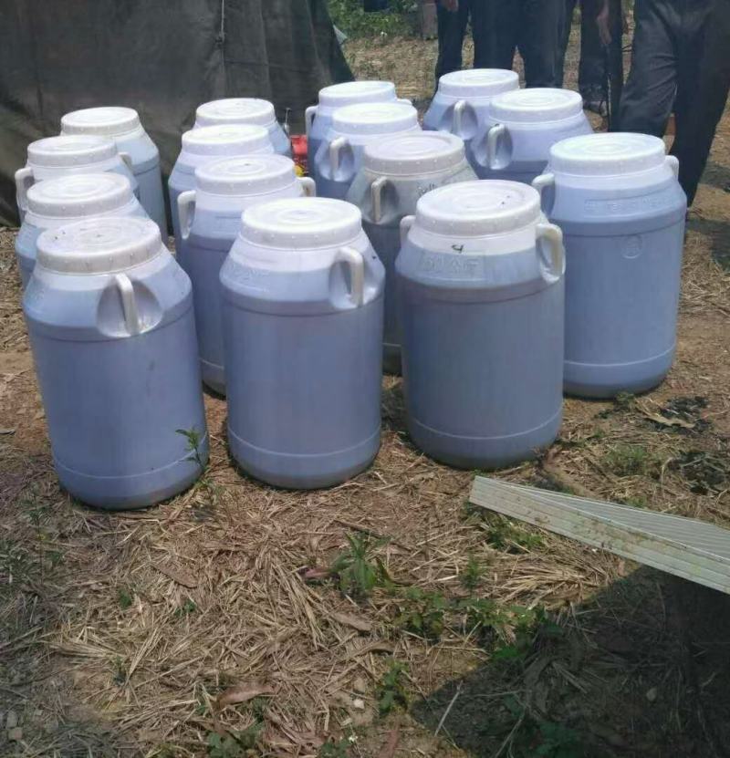纯龙眼蜂蜜蜂场自养品质榜样纯度高味道香颜色好
