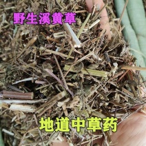 野生中草药溪黄草溪黄草茶产地直销货源充足