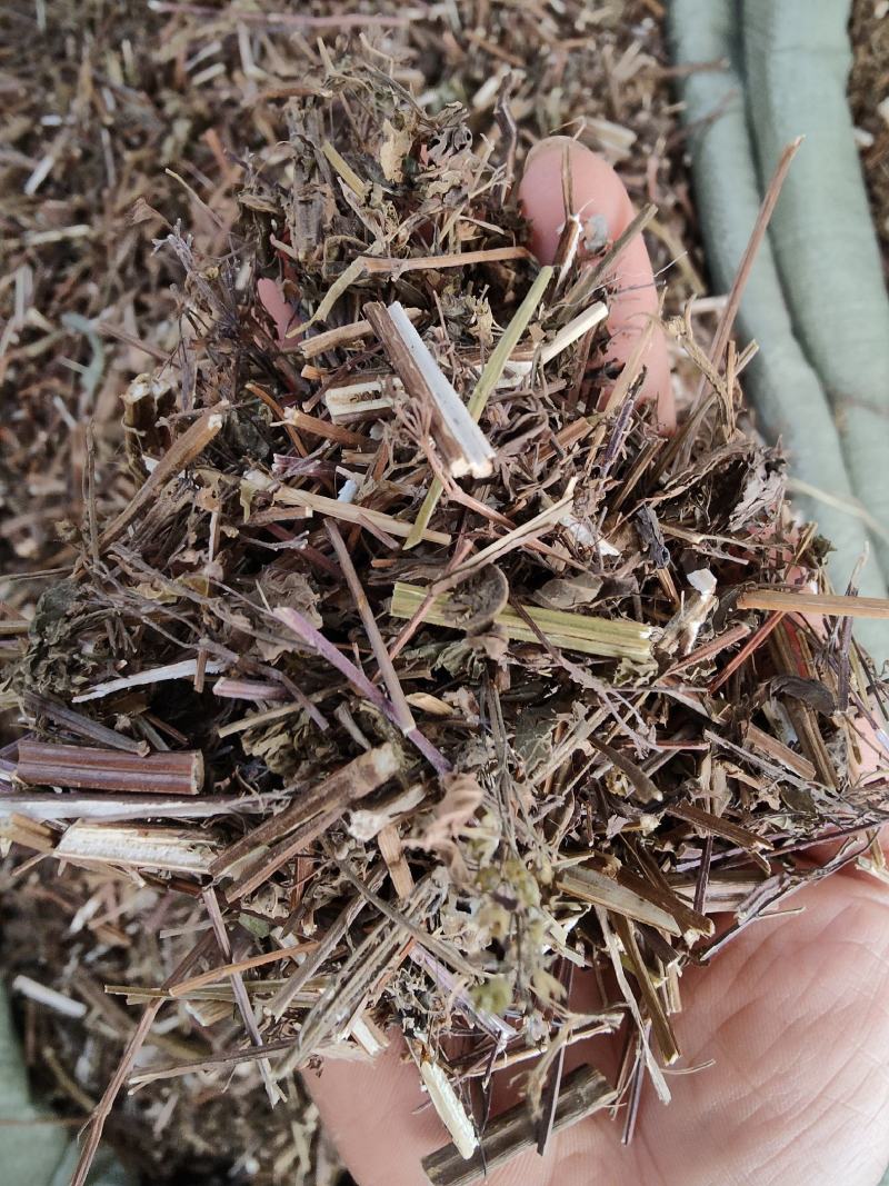 野生中草药溪黄草溪黄草茶产地直销货源充足