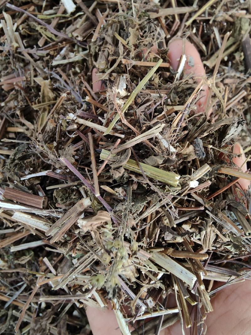 野生中草药溪黄草溪黄草茶产地直销货源充足