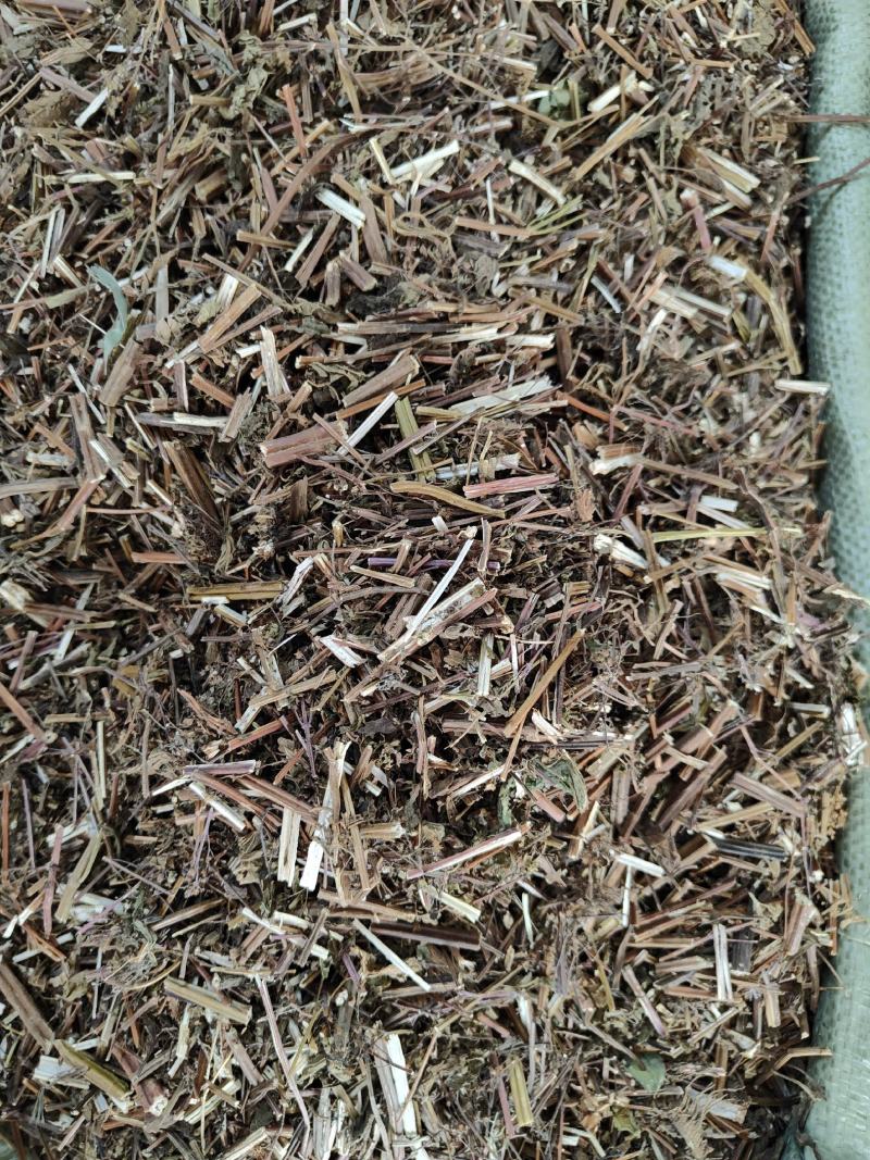 野生中草药溪黄草溪黄草茶产地直销货源充足
