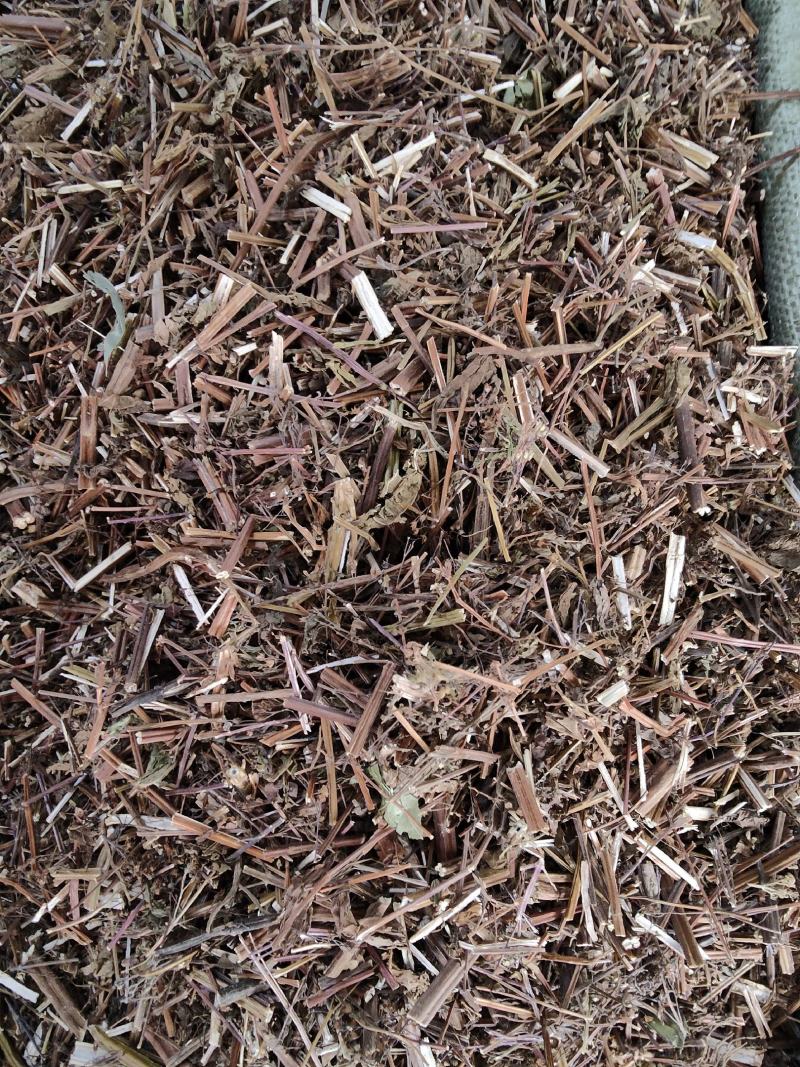 野生中草药溪黄草溪黄草茶产地直销货源充足
