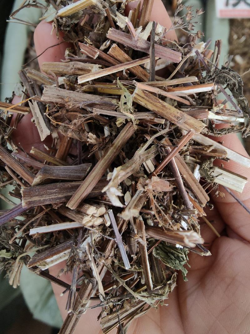 野生中草药溪黄草溪黄草茶产地直销货源充足