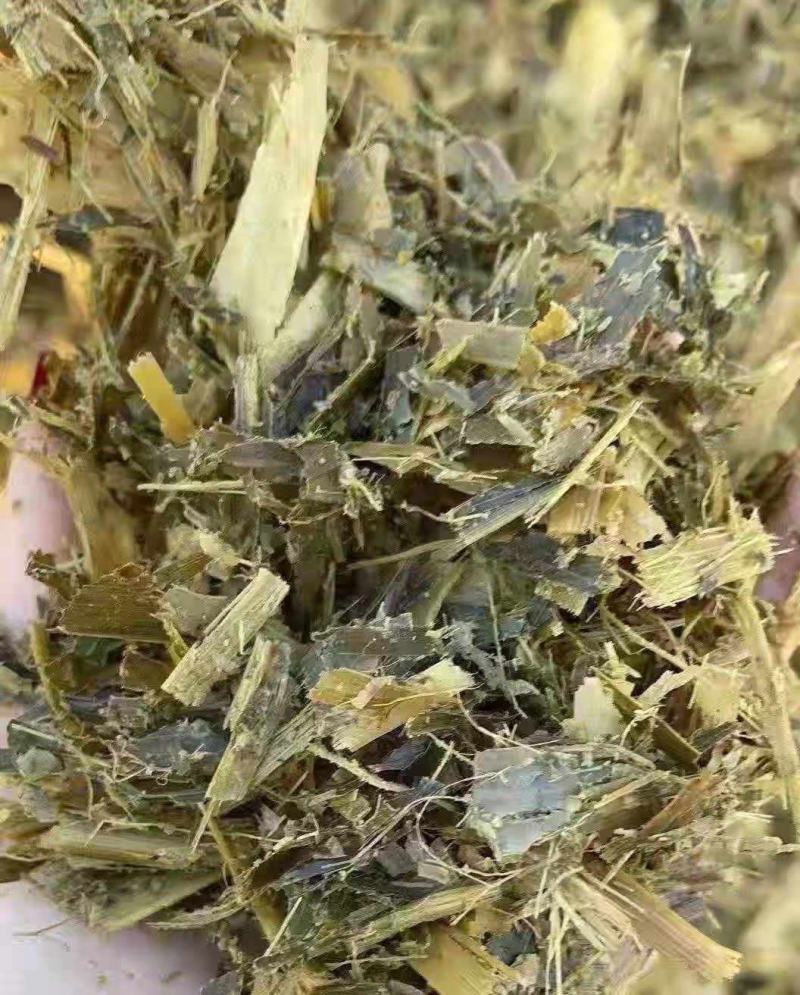 玉米青贮饲料，厂家直销，质量保证量大从优