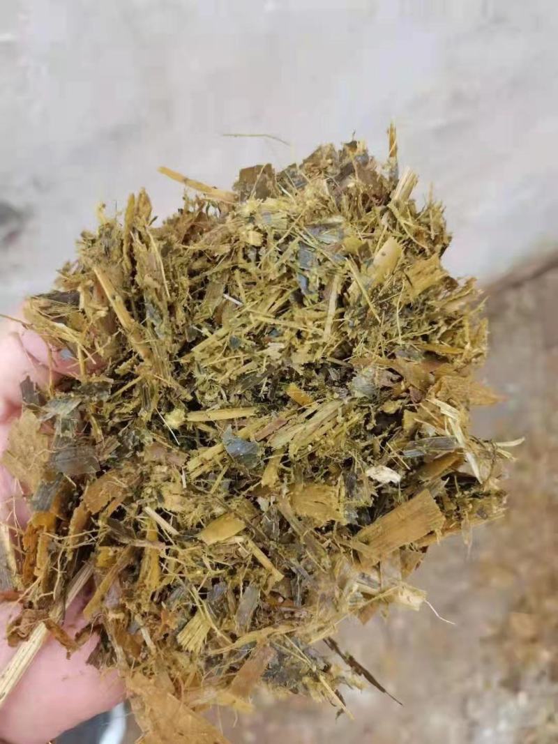 玉米青贮饲料，厂家直销，质量保证量大从优
