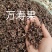 野生中药材万寿果农家自晒拐枣七鸡爪梨干品新货