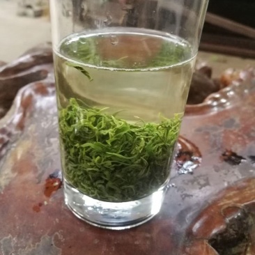 银针绿茶