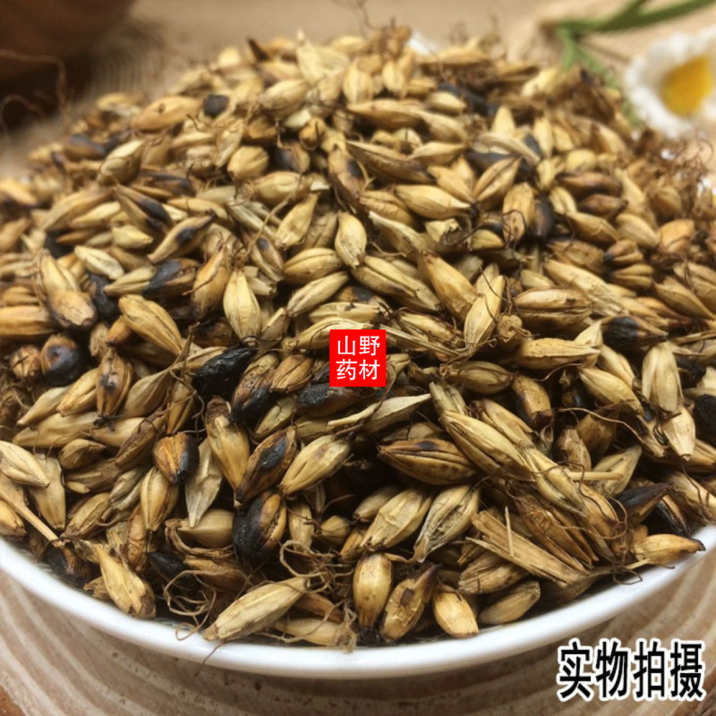 云南中药材炒麦芽大麦芽回奶断奶降低泌乳素