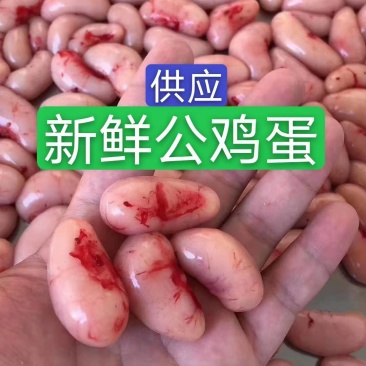 新鲜公鸡蛋，单冻公鸡蛋
