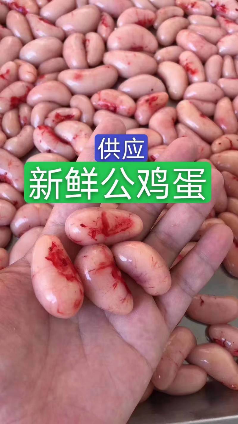 新鲜公鸡蛋，单冻公鸡蛋
