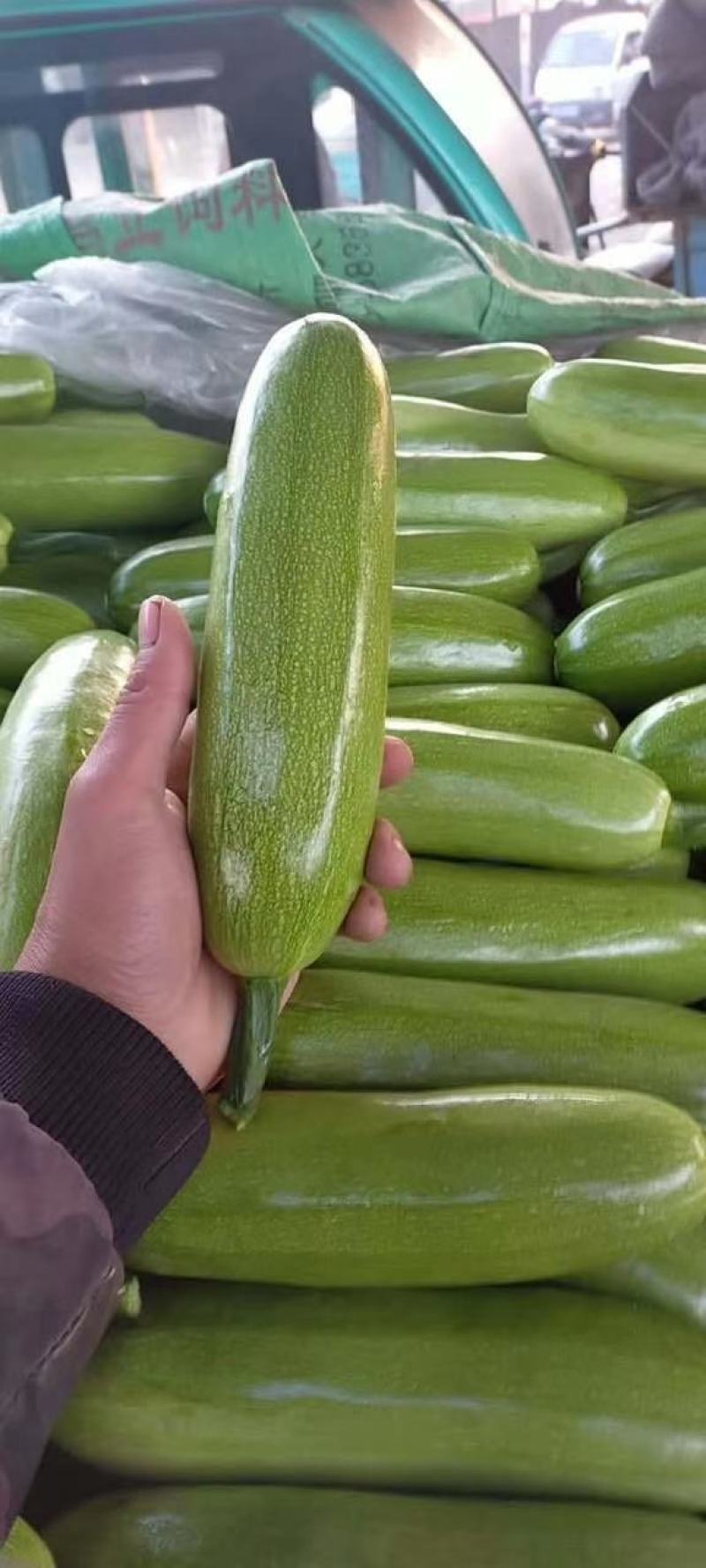 精品蔬菜实力代办团队
