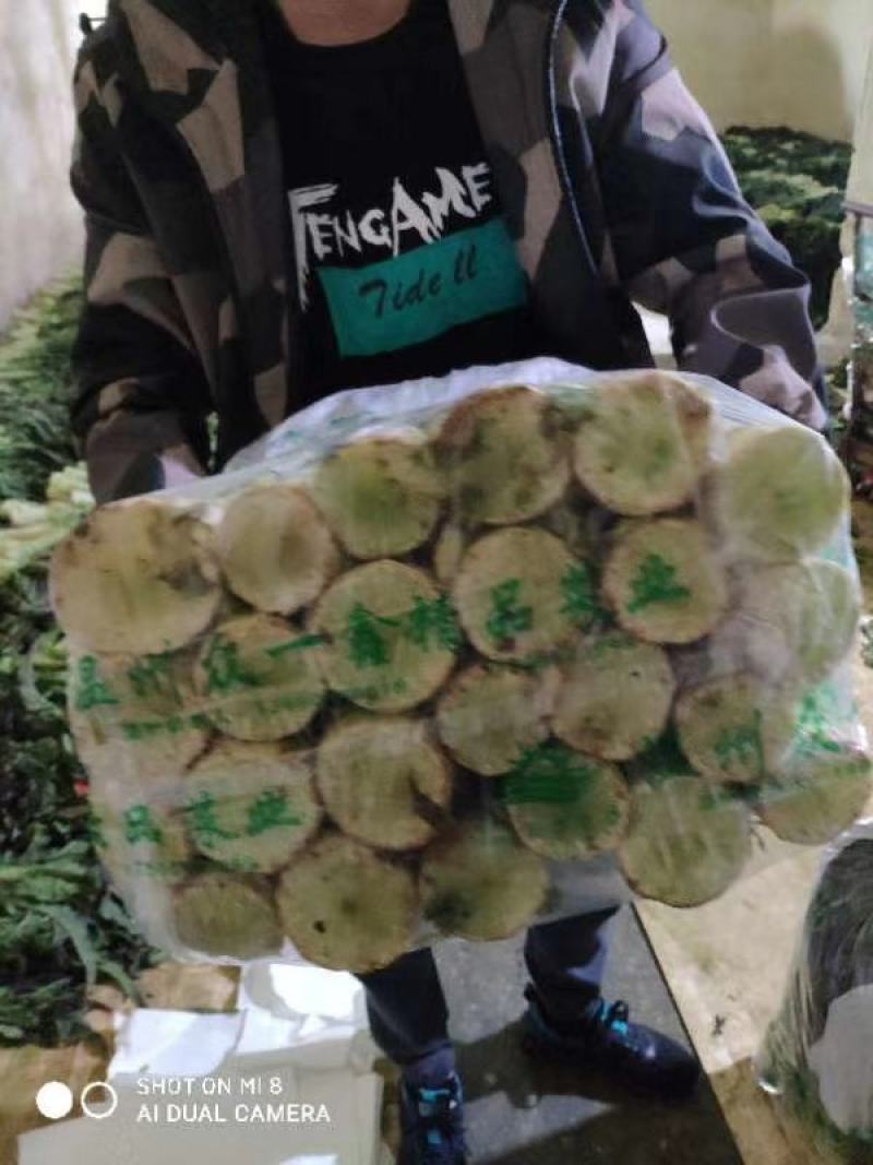 精品蔬菜实力代办团队