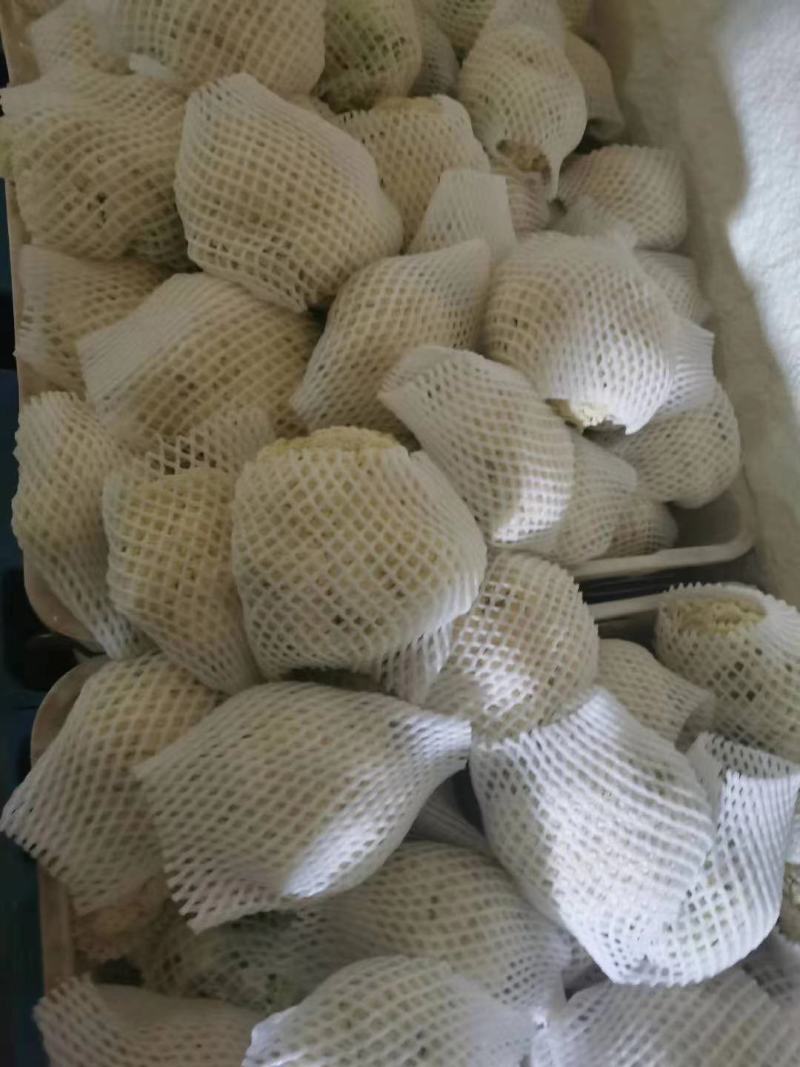精品蔬菜实力代办团队