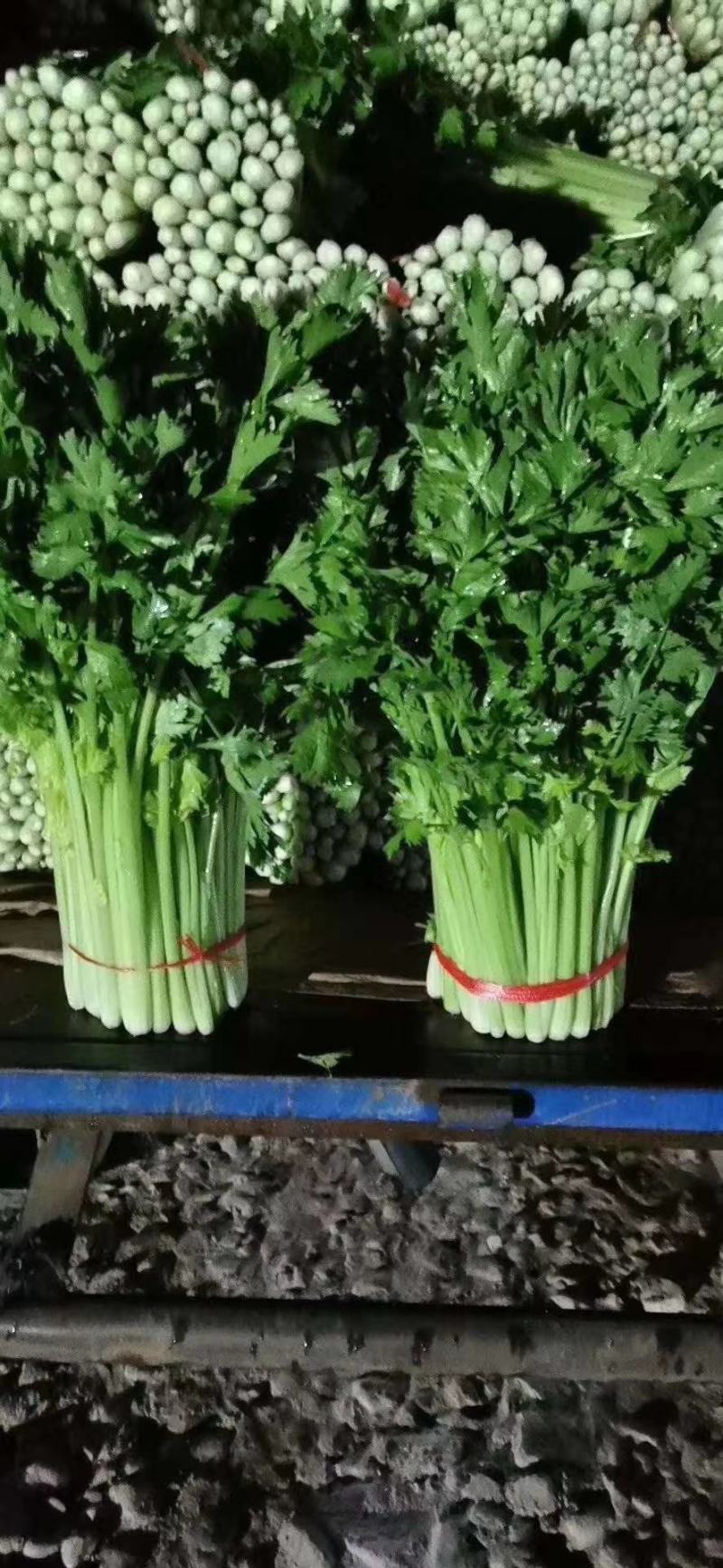 精品蔬菜实力代办团队