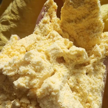大量供应玉米面一手货源猪牛羊鸡鸭鹅饲料玉米面