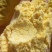 大量供应玉米面一手货源猪牛羊鸡鸭鹅饲料玉米面