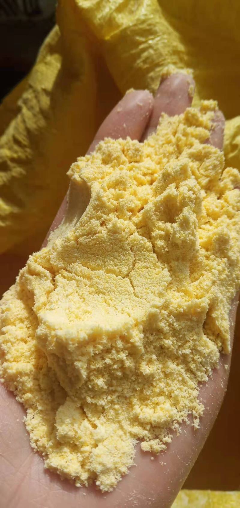 大量供应玉米面一手货源猪牛羊鸡鸭鹅饲料玉米面