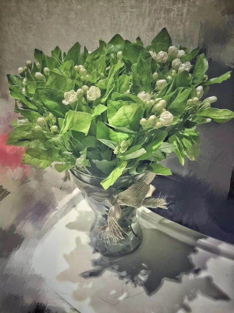 茉莉花鲜切花茉莉花批发一扎40多支包邮云南鲜花直发