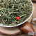 云南中药材柴胡柴胡苗500g包邮