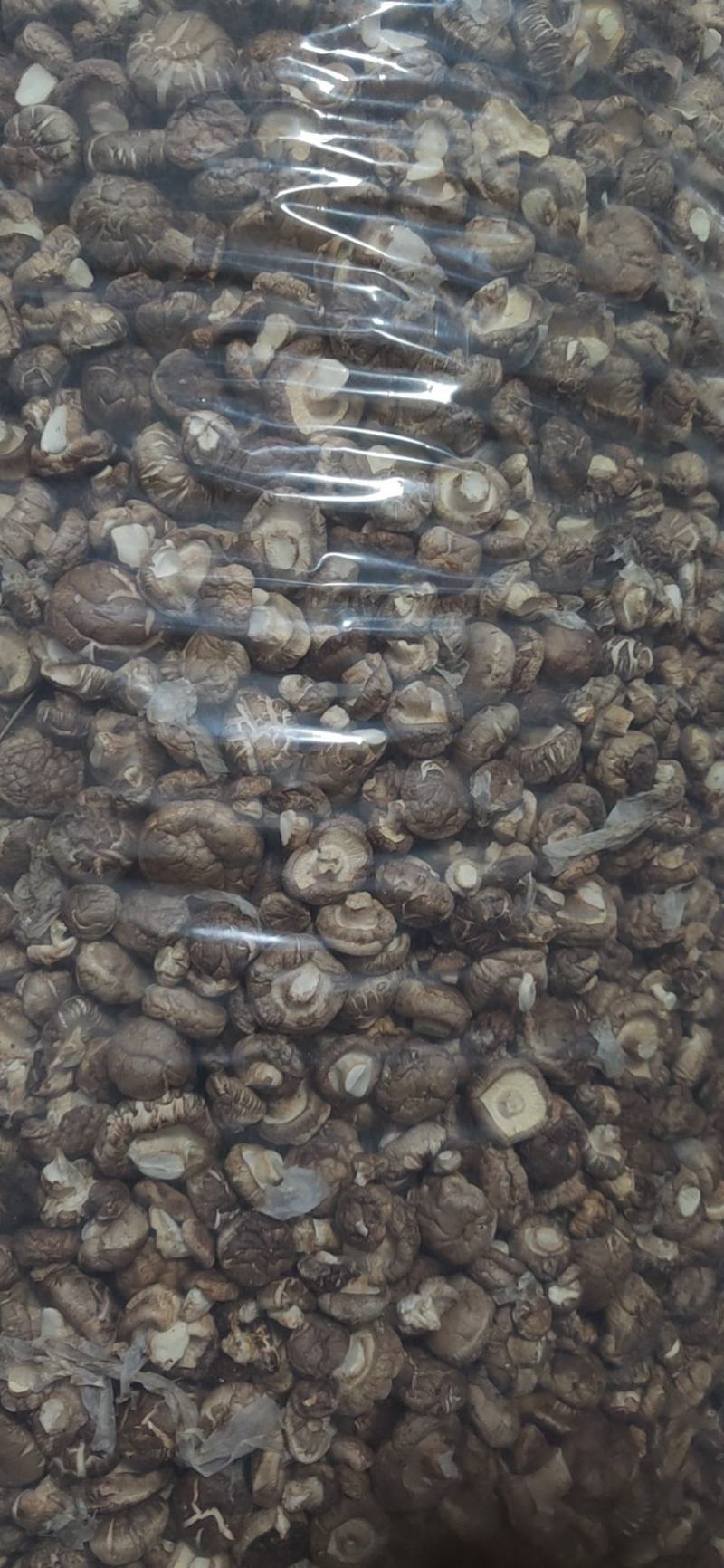 精品香菇干货
