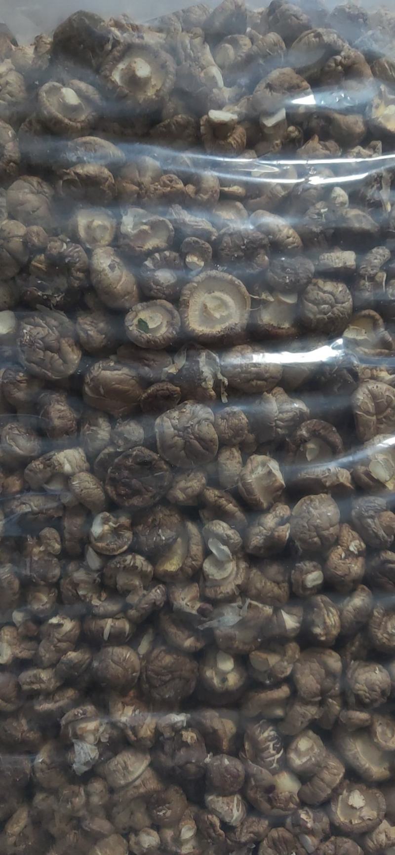 精品香菇干货