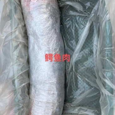 商品鳄鱼可帮杀每条都可带合法养殖的标签可直接下单