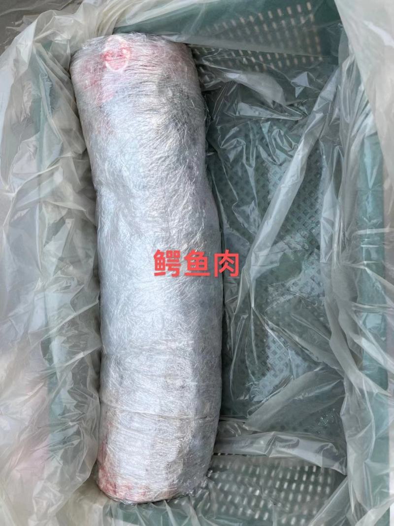 商品鳄鱼可帮杀每条都可带合法养殖的标签可直接下单