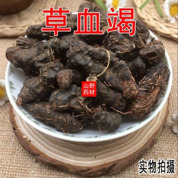 云南野生中药材草血竭老腰弓地蜂子一口血拳参