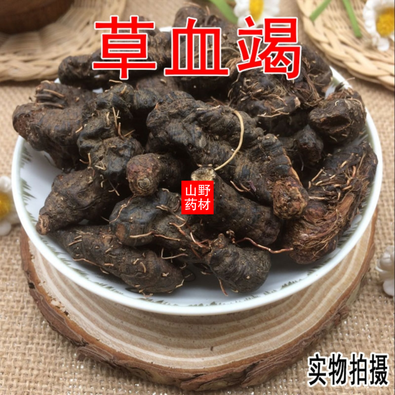 云南野生中药材草血竭老腰弓地蜂子一口血拳参