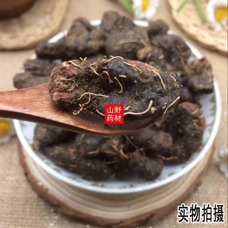 云南野生中药材草血竭老腰弓地蜂子一口血拳参