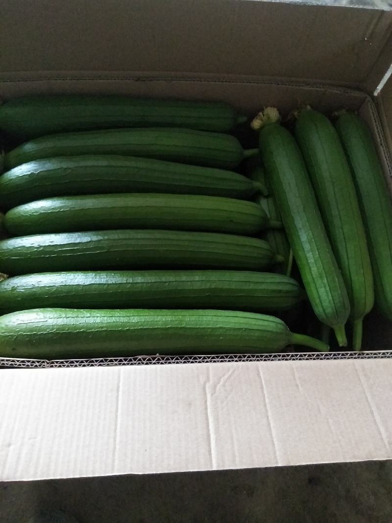 质量好，大量供应。