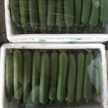 质量好，大量供应。