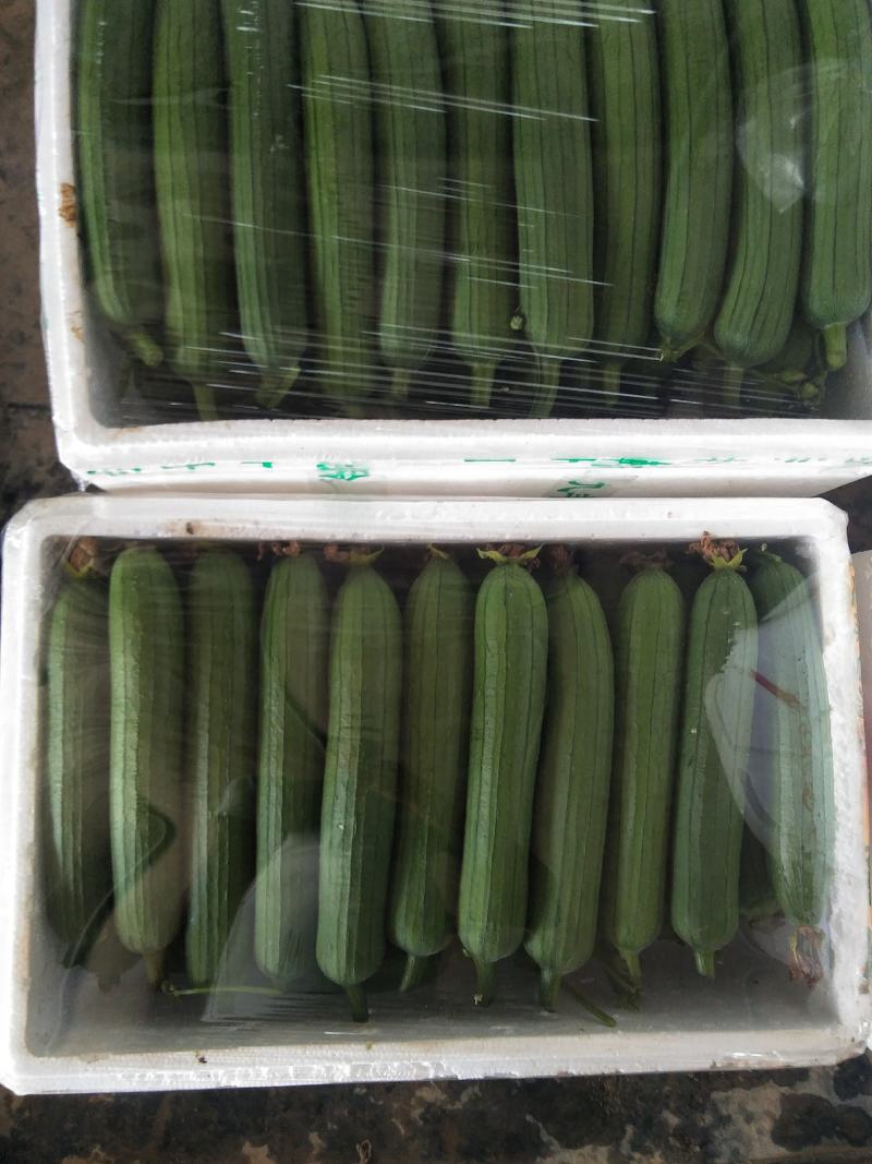 质量好，大量供应。