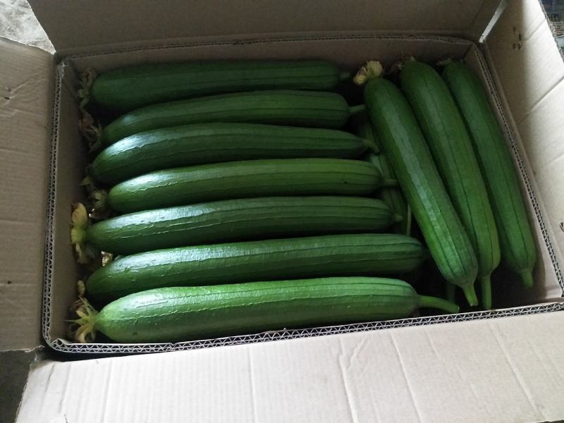 质量好，大量供应。