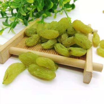 厂家供应新疆葡萄干绿香妃颗粒饱满干净无沙