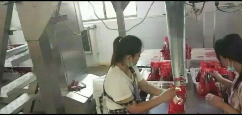 葡萄干电商直播带货厂家直供品质超好规格全