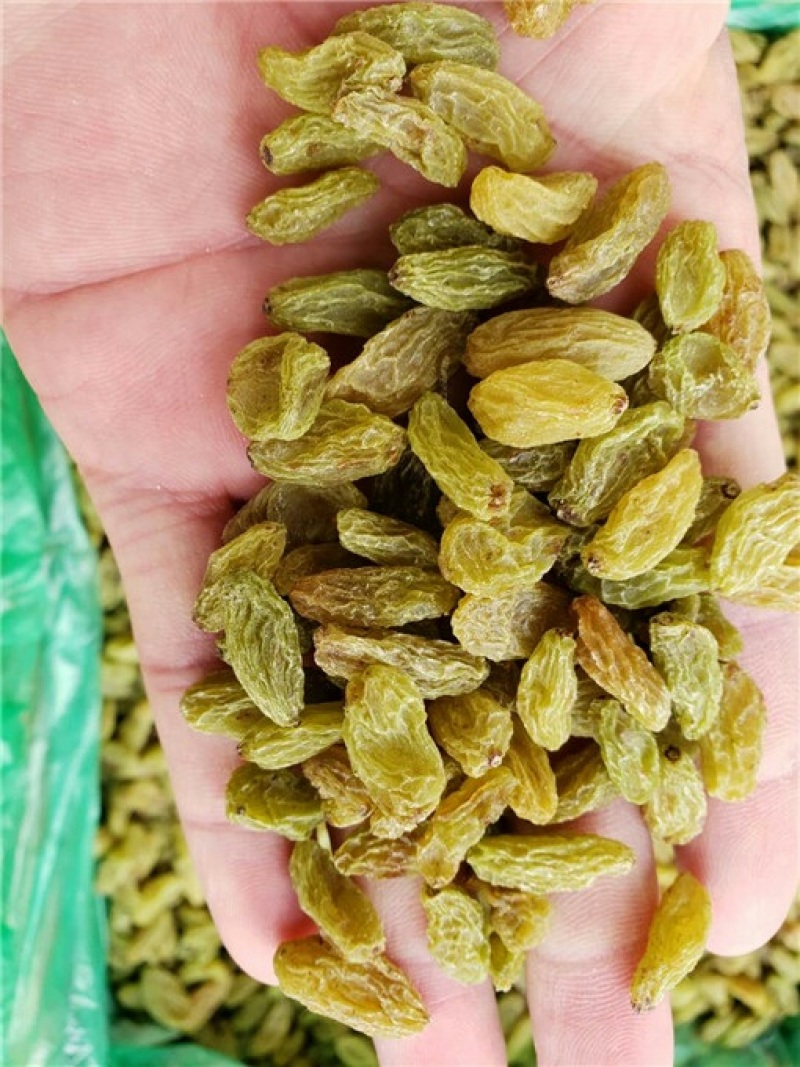 葡萄干电商直播带货厂家直供品质超好规格全