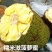 广西发货正宗嫁接黄肉菠萝蜜树苗马来西亚1号泰国红肉菠萝