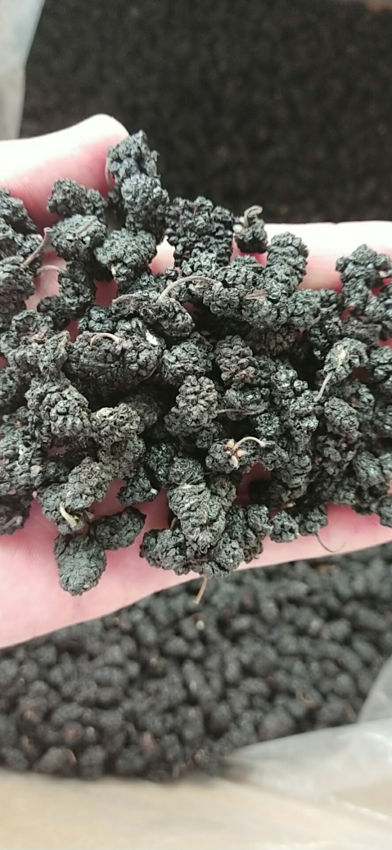无沙桑葚干厂家散装批发品质好价格实惠量大从优
