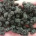 无沙桑葚干厂家散装批发品质好价格实惠量大从优