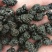 无沙桑葚干厂家散装批发品质好价格实惠量大从优