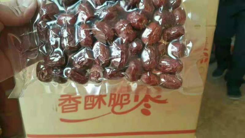 一手货源香酥脆枣个大无核厂家批发货源充足