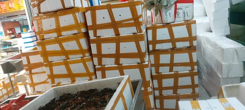 昆明小龙虾批发直销