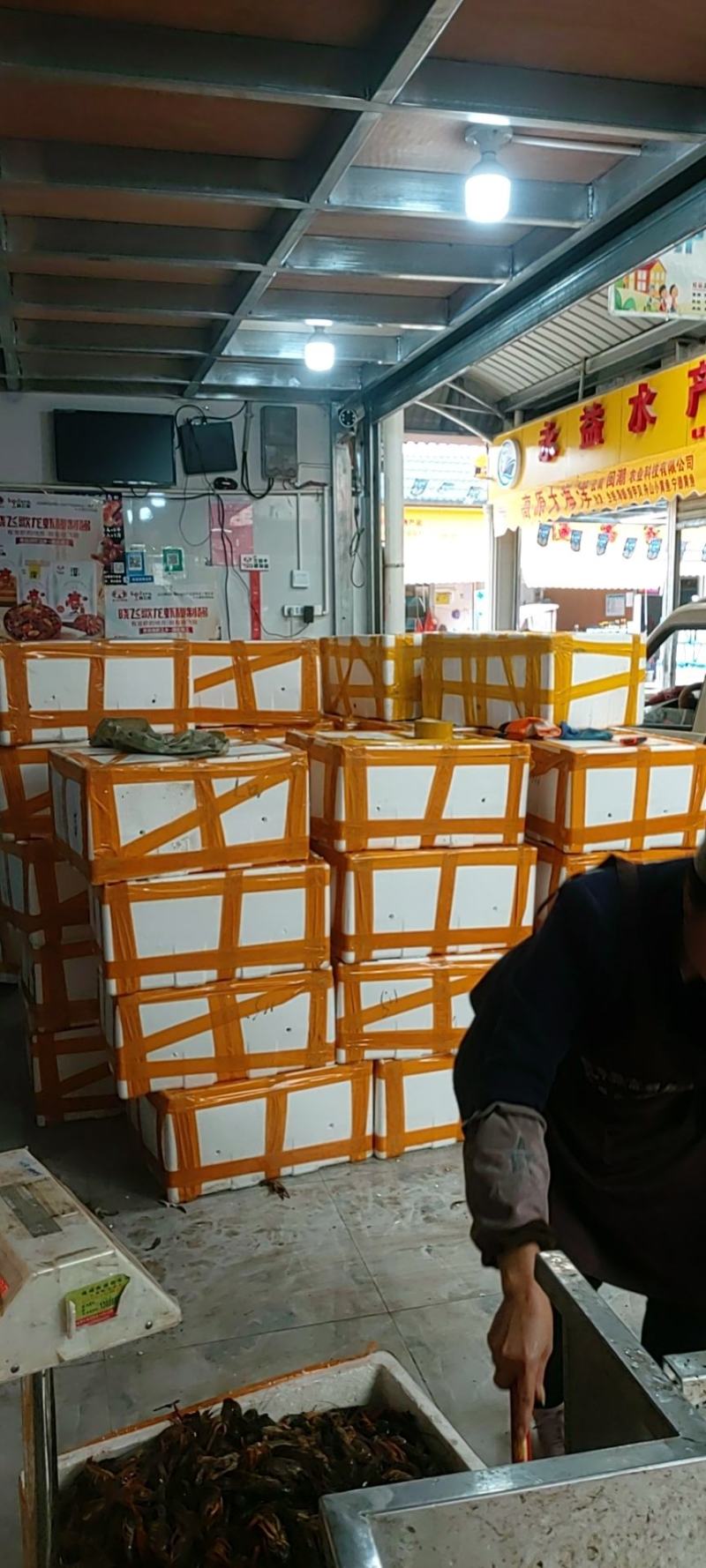 昆明小龙虾批发直销