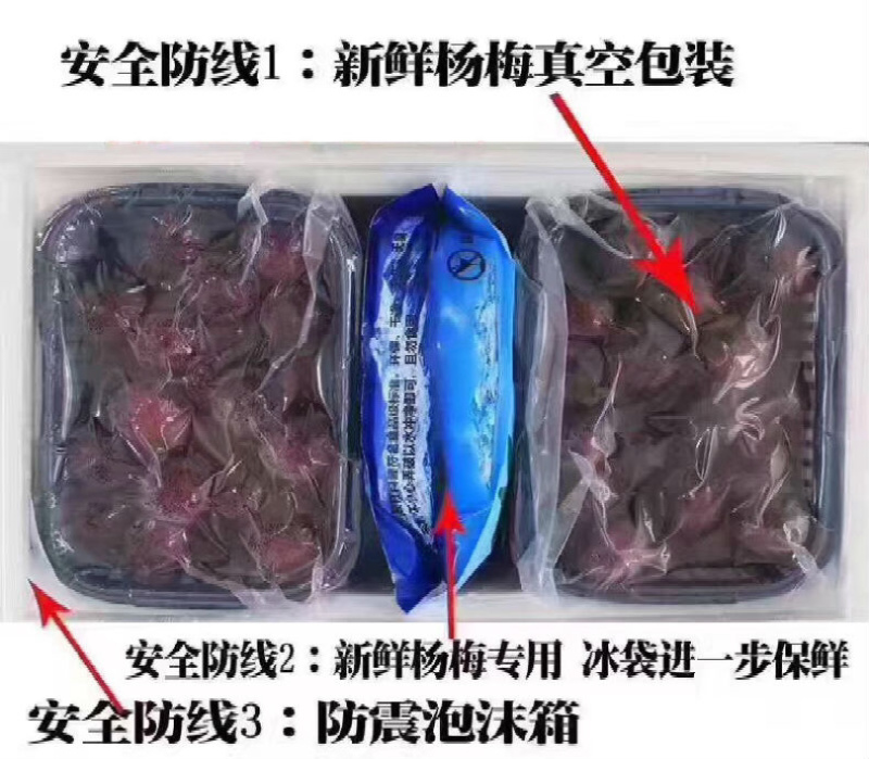 正宗浙江仙居东魁杨梅新鲜大杨梅产地直供批发代发