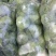 精品圆包菜甘蓝大量上市质量好一手货源基地直发诚信合作