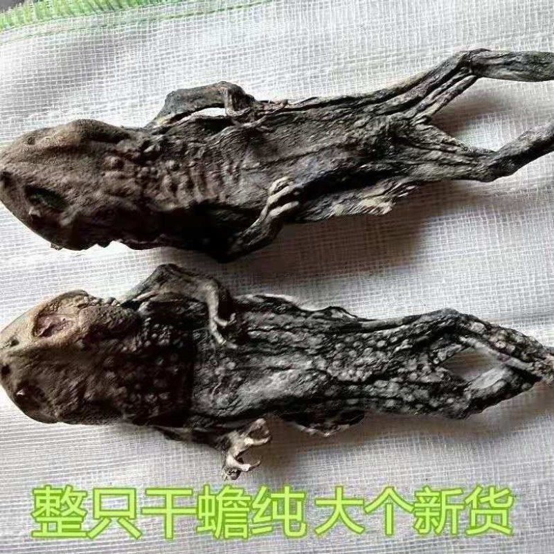 蟾蜍干中药材干蟾蜍癞蛤蟆蛤蟆干100g包邮另售蟾衣蟾蜍