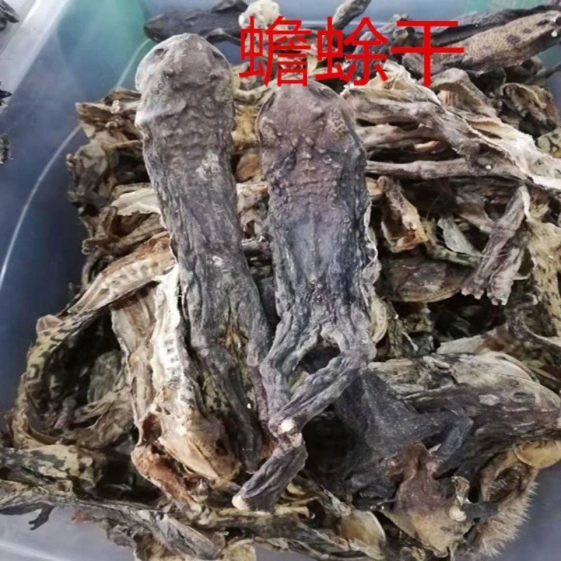 蟾蜍干中药材干蟾蜍癞蛤蟆蛤蟆干100g包邮另售蟾衣蟾蜍