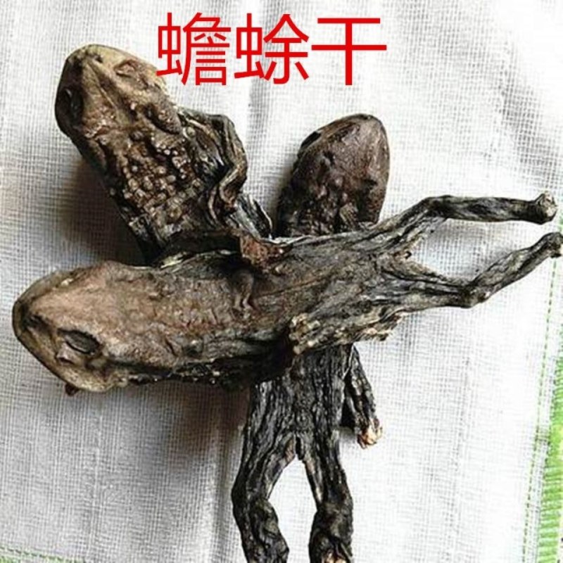 蟾蜍干中药材干蟾蜍癞蛤蟆蛤蟆干100g包邮另售蟾衣蟾蜍