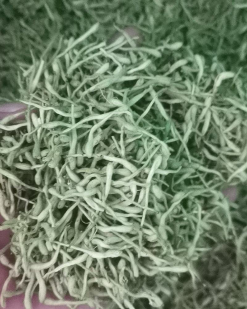 中药材泡茶青金银花二花干双花山银花量大从优